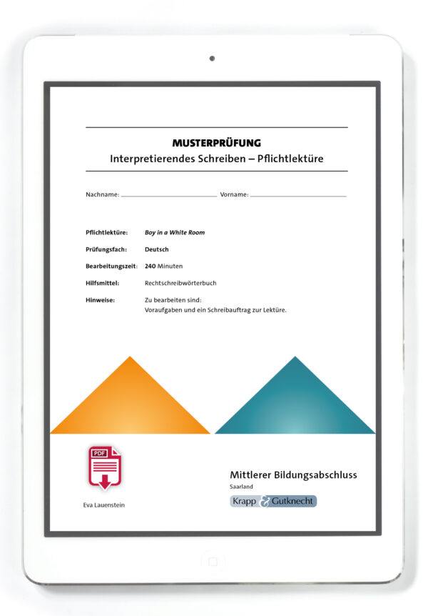 Titel PDF Mittlerer Bildungsabschluss Boy in a White Room