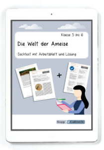 Sachtext: Die Welt der Ameise – Klasse 5 und 6 – PDF